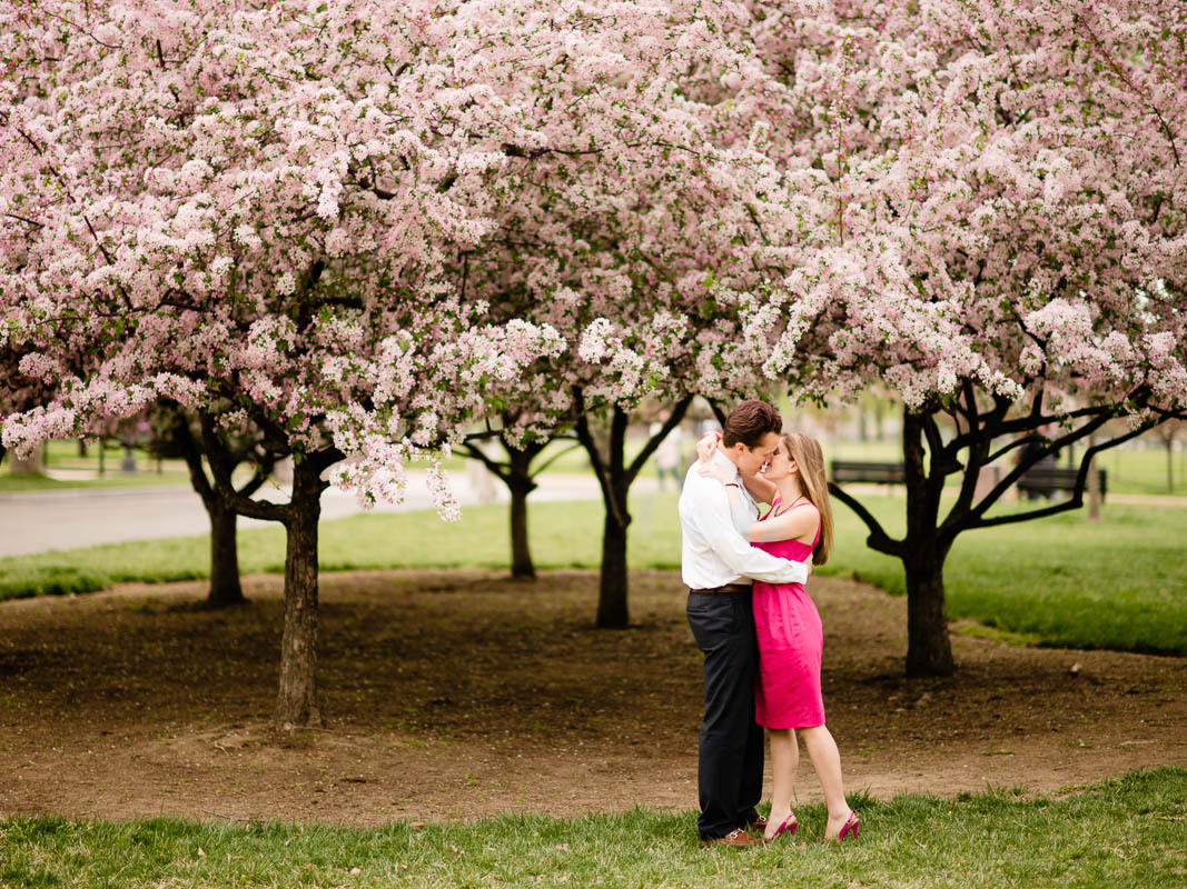 A Kiss Under the Cherry Blossoms by Alexandra Friendly